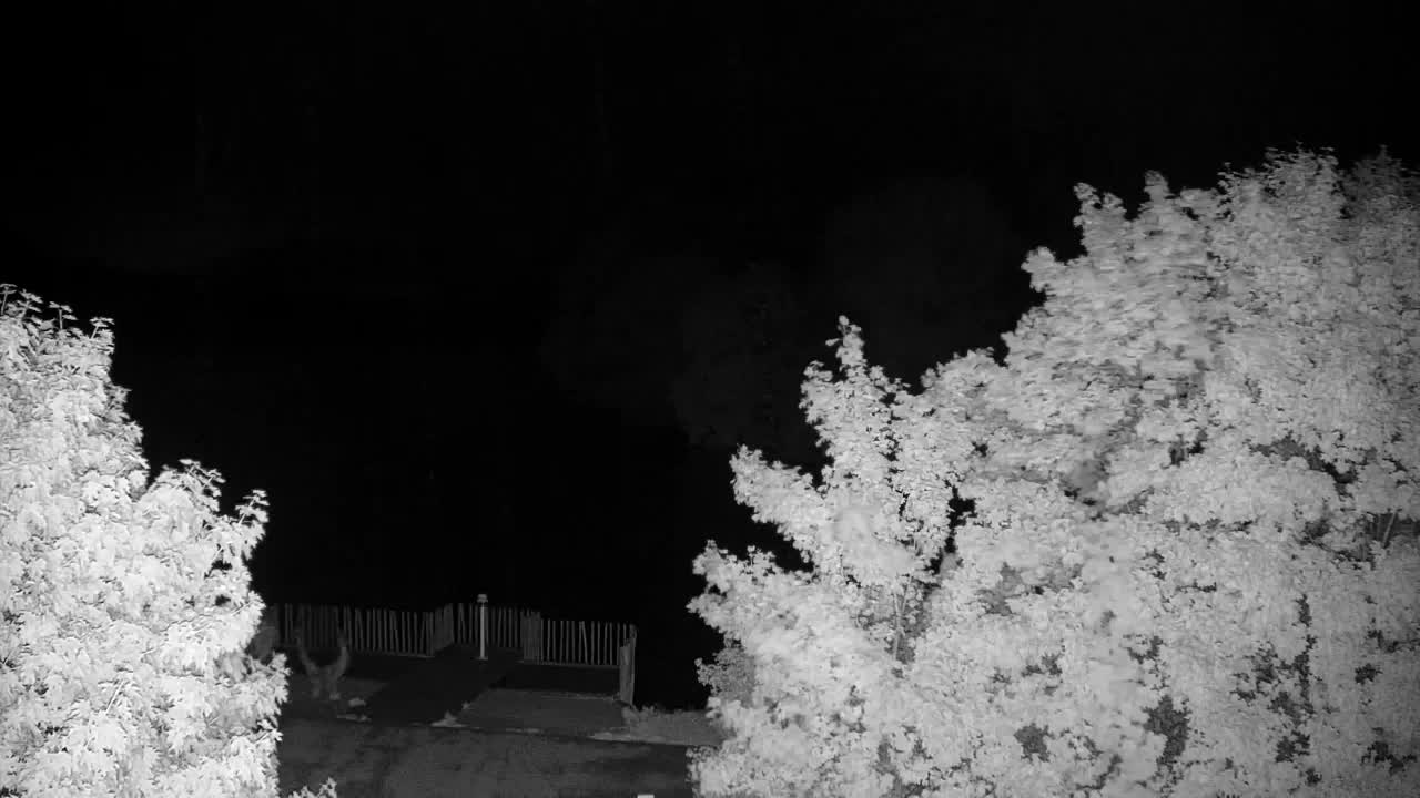 Webcam Ribnik Vrbje – Žalec