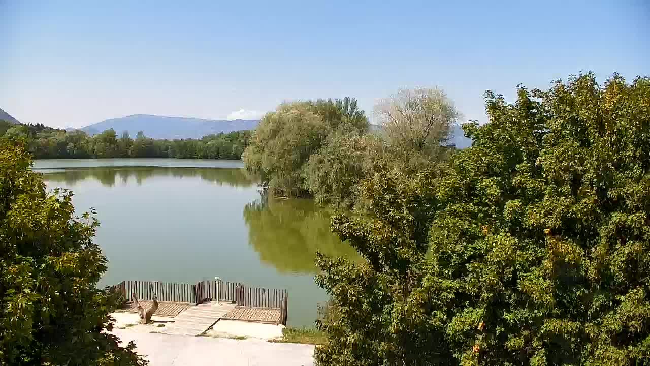 Webcam Ribnik Vrbje – Žalec