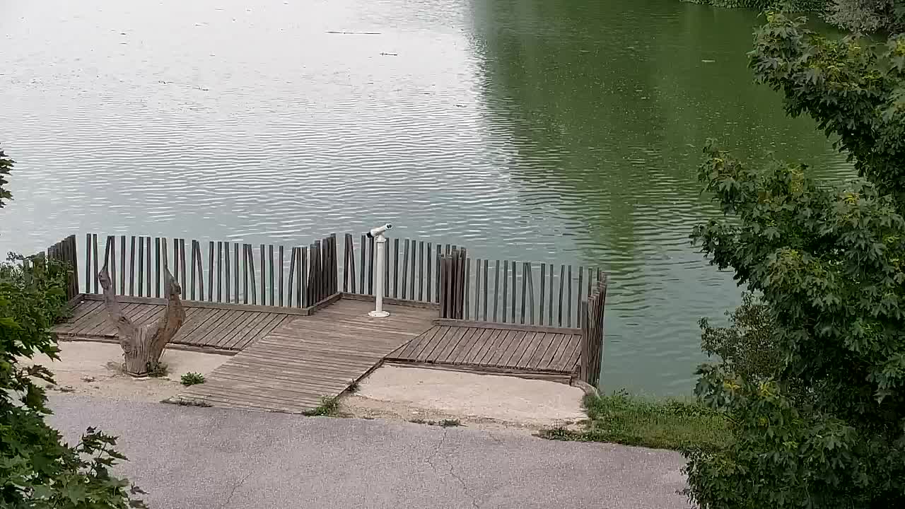 Web kamera Ribnik Vrbje – Žalec