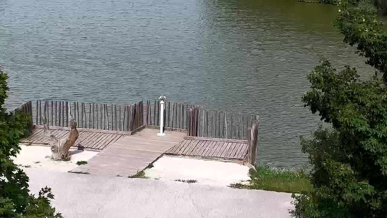 Webcam Ribnik Vrbje – Žalec