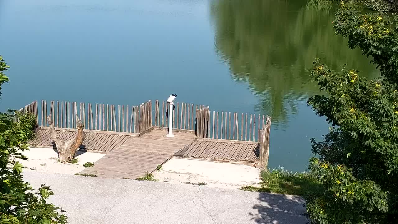 Webcam Ribnik Vrbje – Žalec