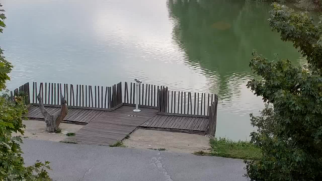 Spletna kamera Ribnik Vrbje – Žalec