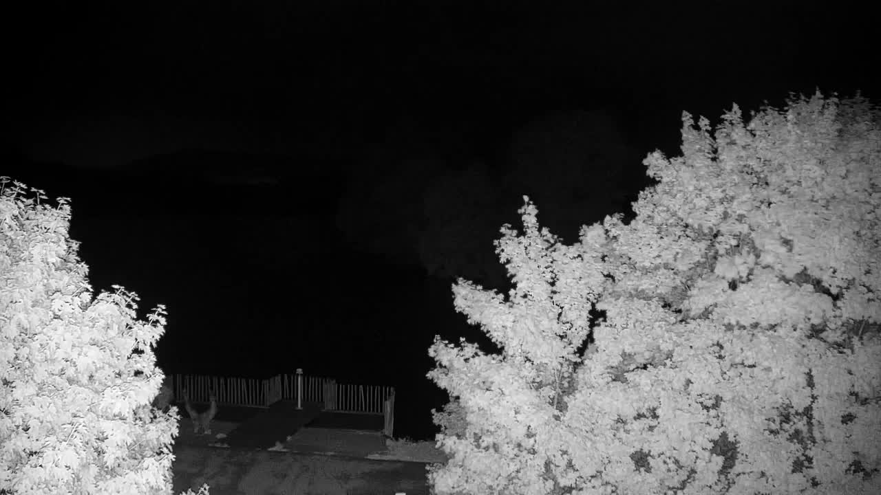 Webcam Ribnik Vrbje – Žalec
