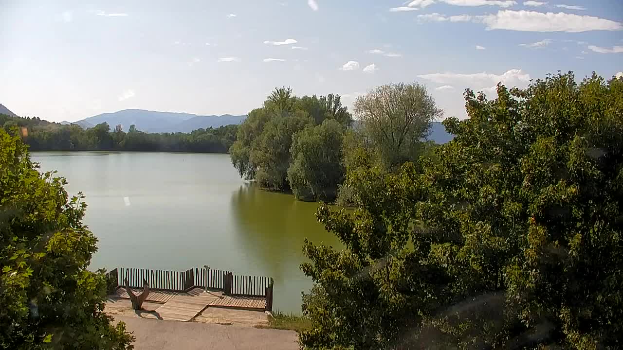 Webcam Ribnik Vrbje – Žalec