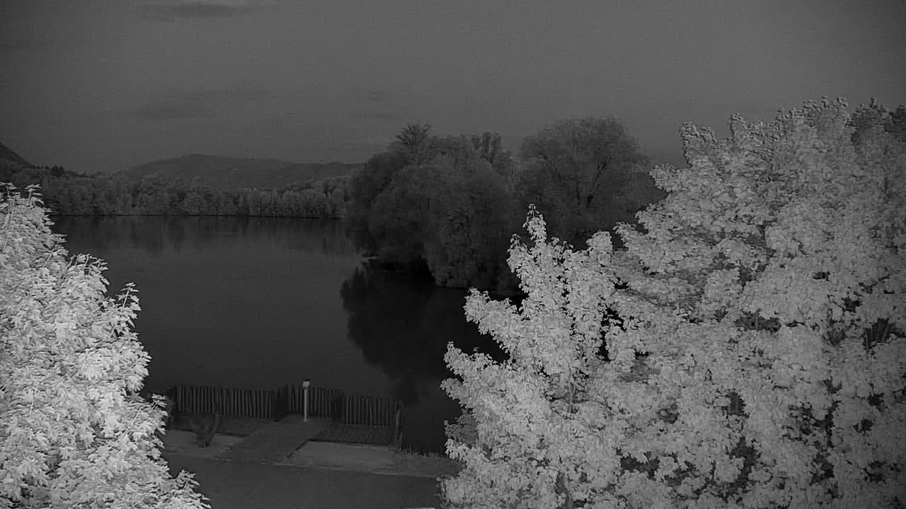 Webcam Ribnik Vrbje – Žalec