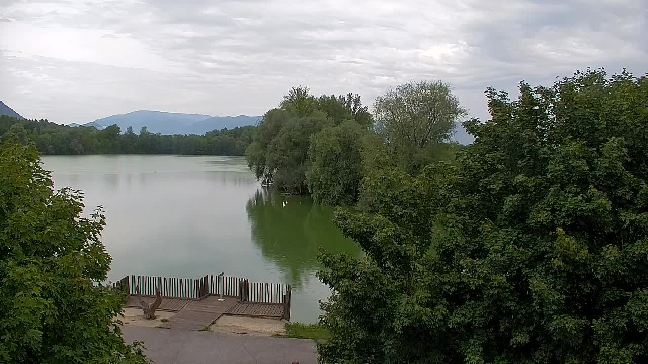 Webcam Ribnik Vrbje – Žalec