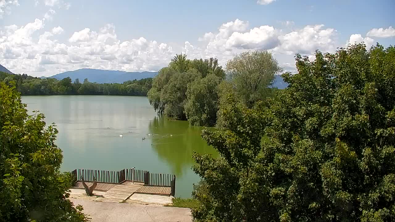 Web kamera Ribnik Vrbje – Žalec