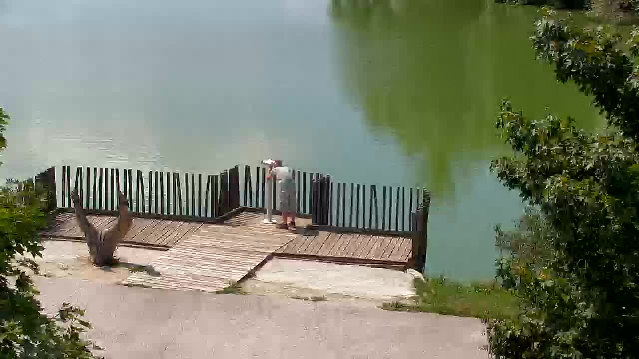 Webcam Ribnik Vrbje – Žalec