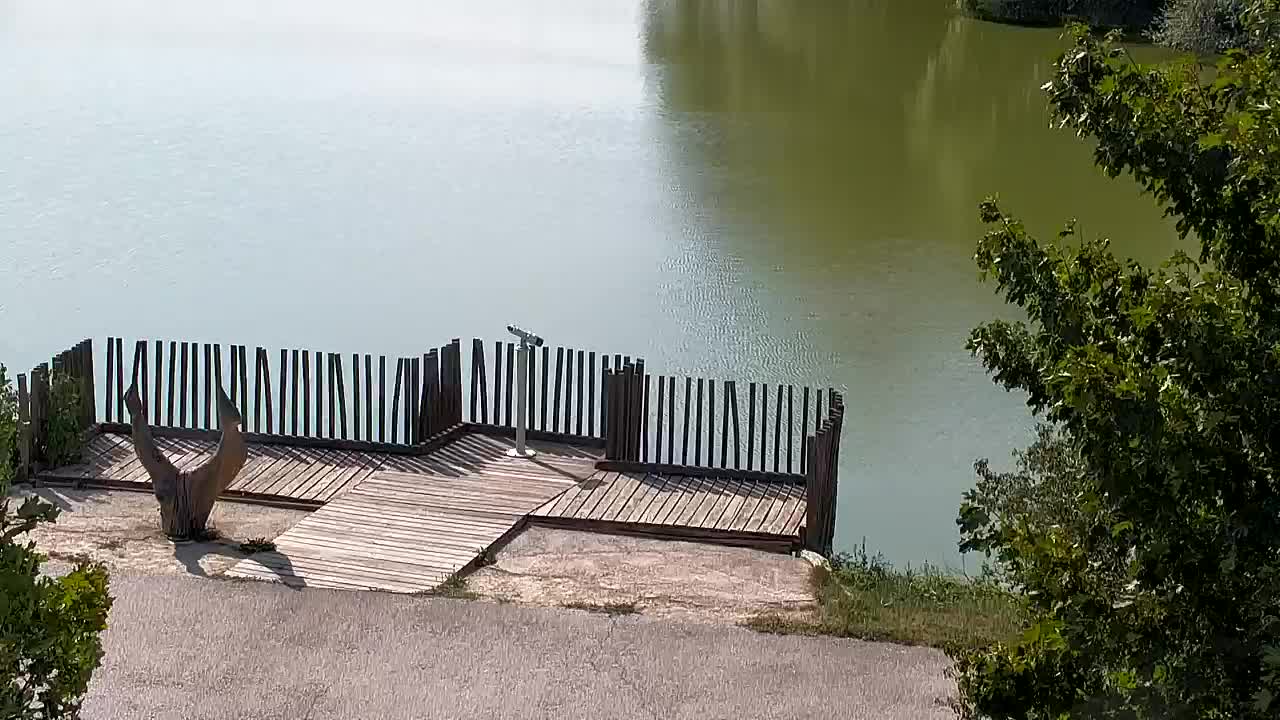 Webcam Ribnik Vrbje – Žalec