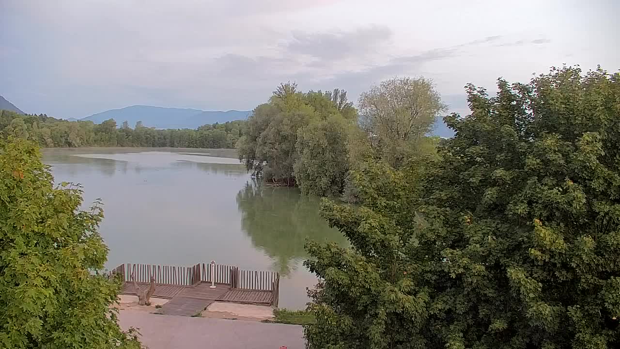 Webcam Ribnik Vrbje – Žalec