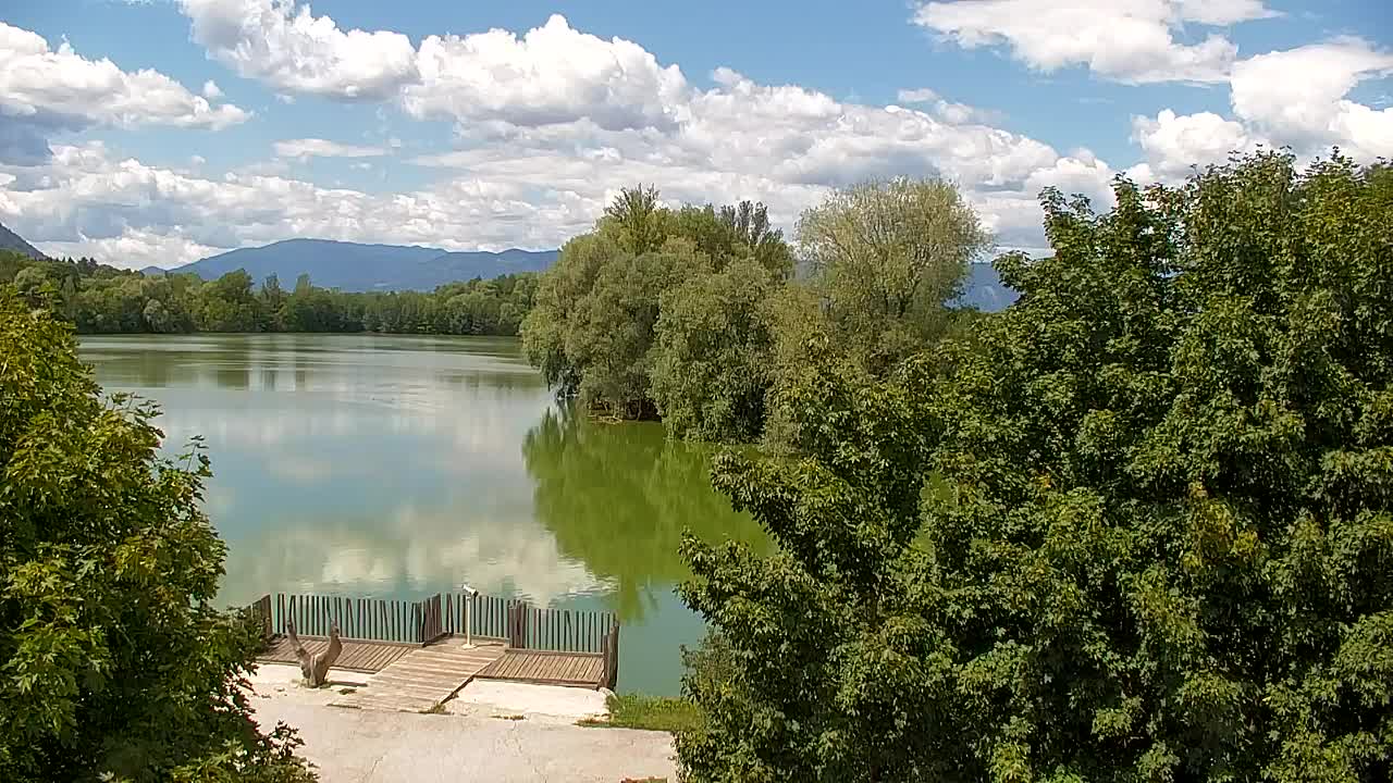 Webcam Ribnik Vrbje – Žalec