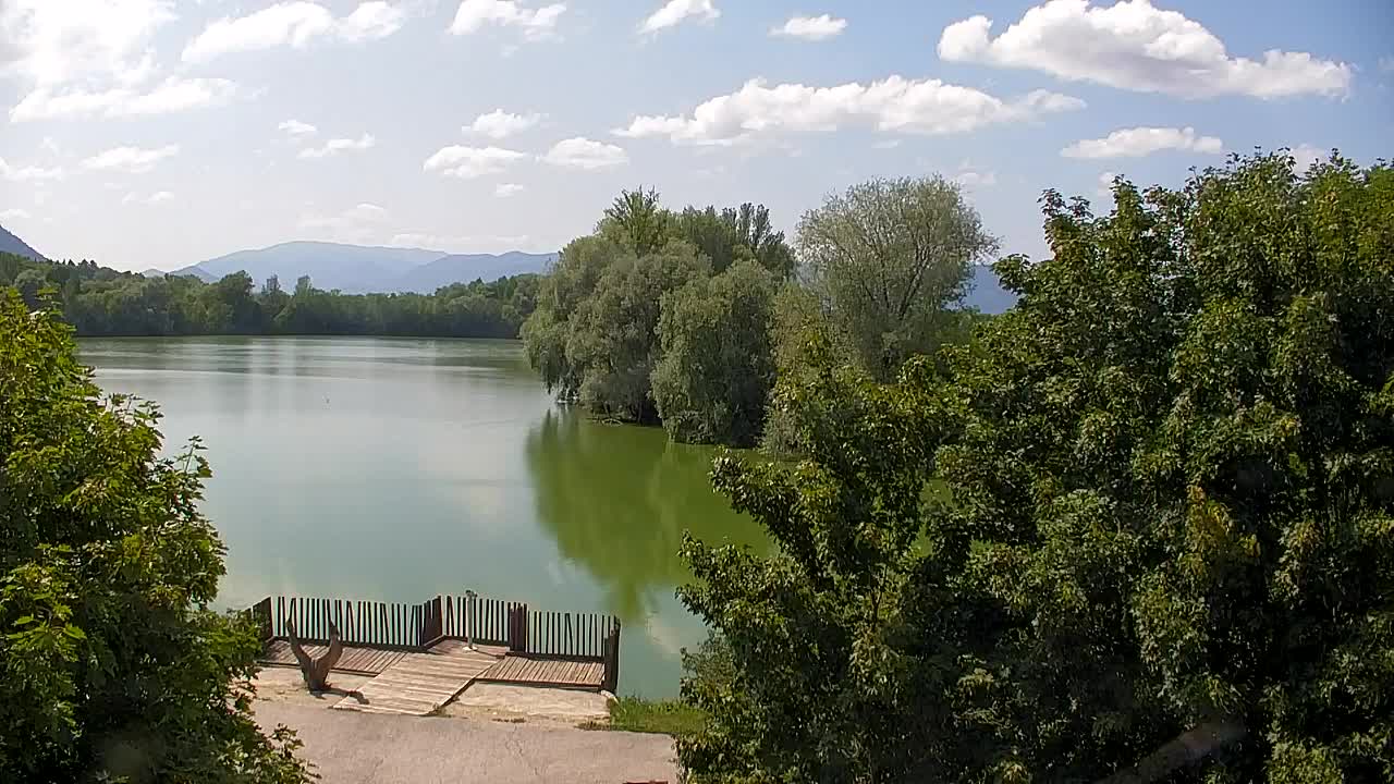 Webcam Ribnik Vrbje – Žalec