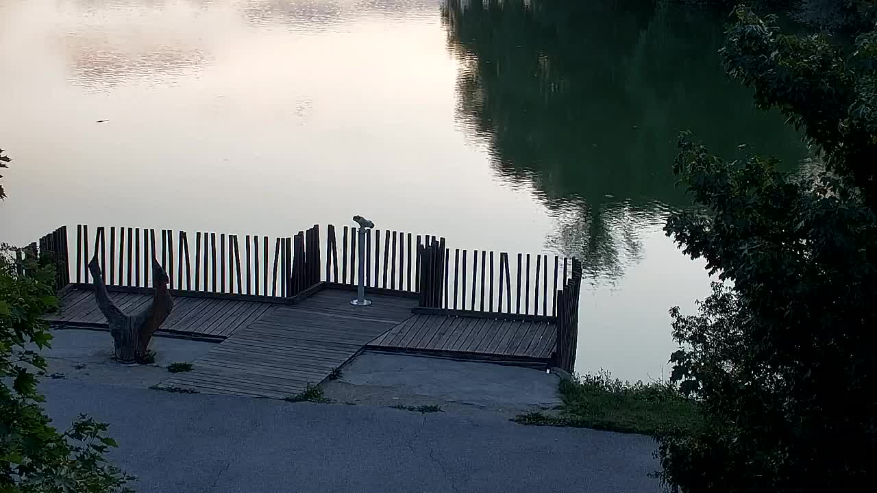 Webcam Ribnik Vrbje – Žalec