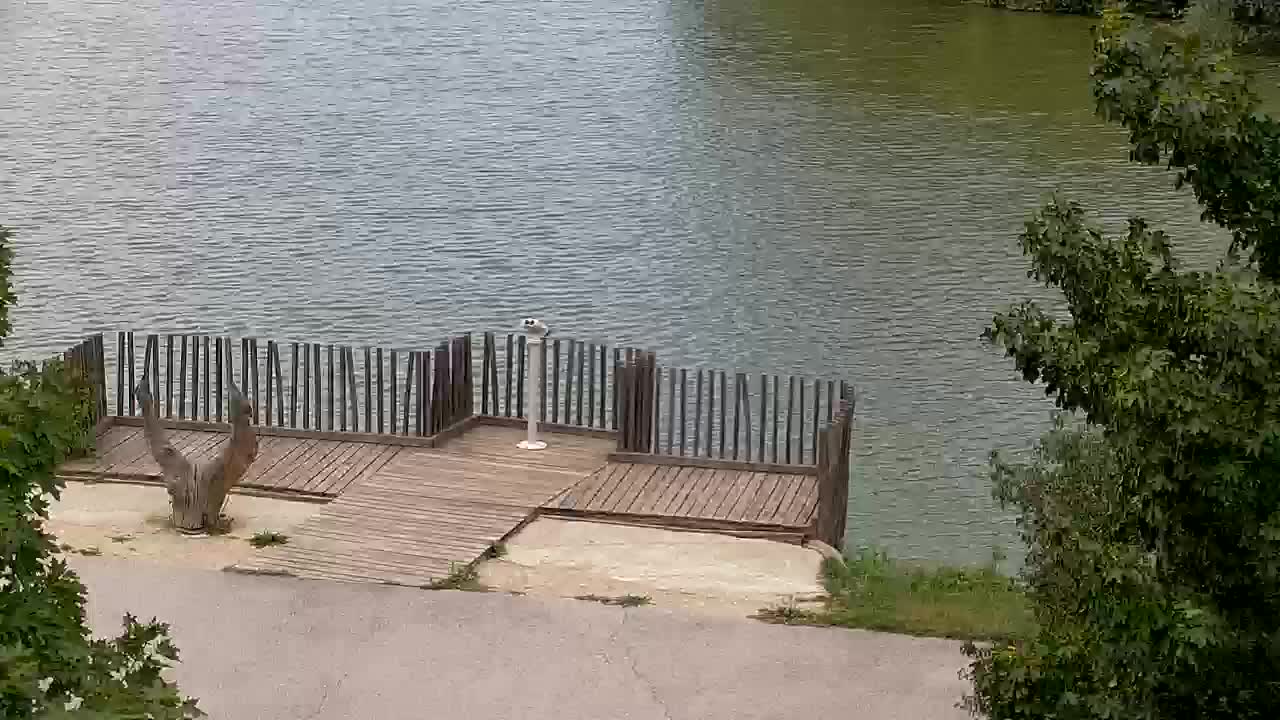 Webcam Ribnik Vrbje – Žalec