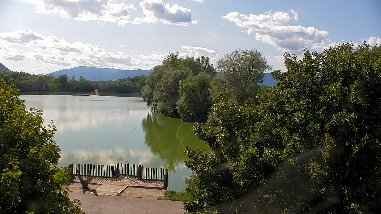 Webcam Ribnik Vrbje – Žalec