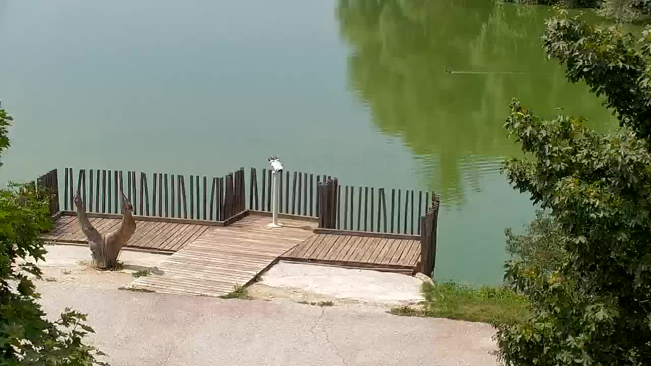Web kamera Ribnik Vrbje – Žalec