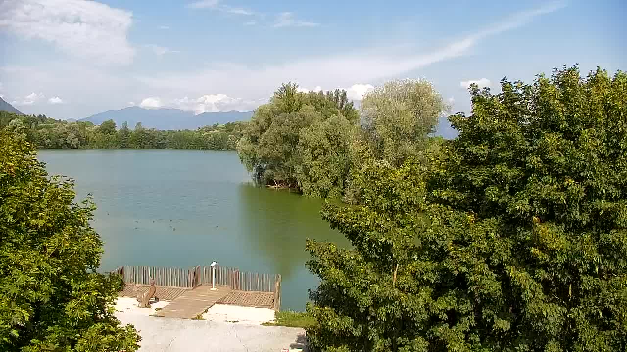Webcam Ribnik Vrbje – Žalec