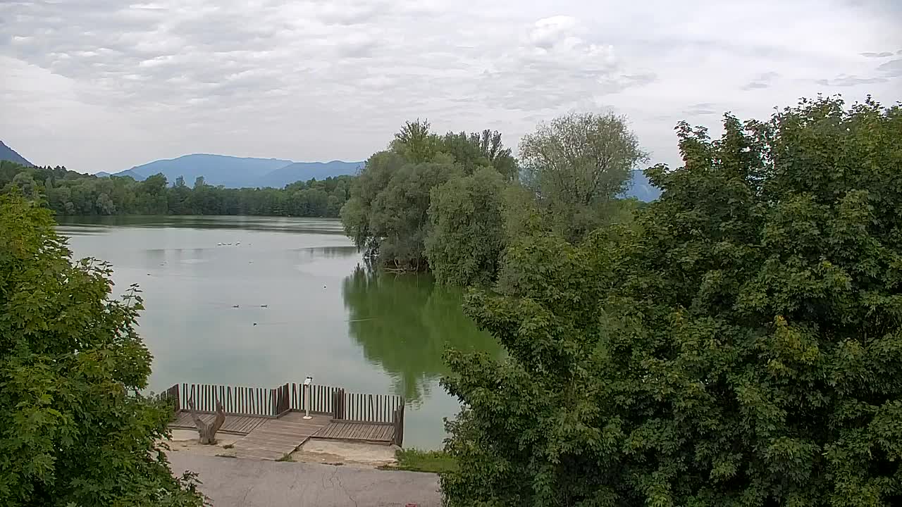 Spletna kamera Ribnik Vrbje – Žalec