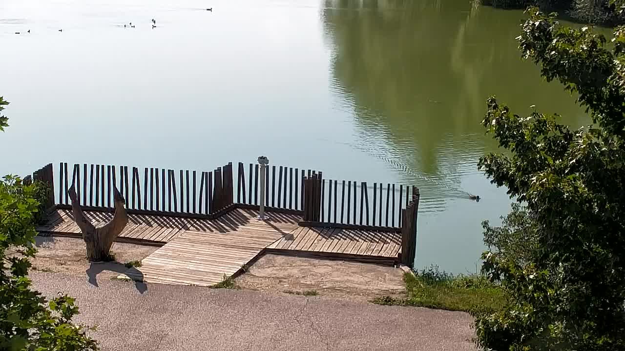 Spletna kamera Ribnik Vrbje – Žalec