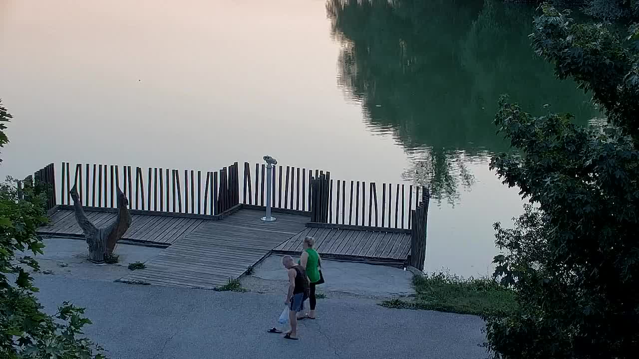 Webcam Ribnik Vrbje – Žalec