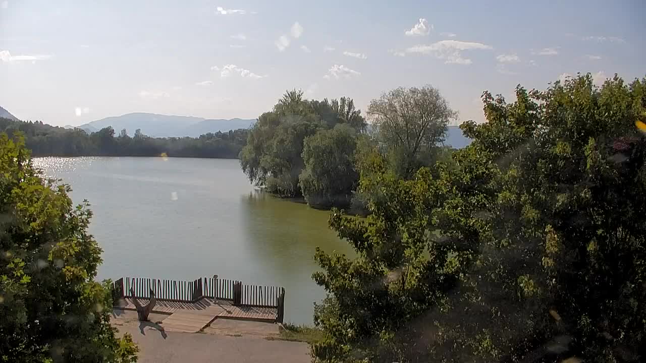 Web kamera Ribnik Vrbje – Žalec