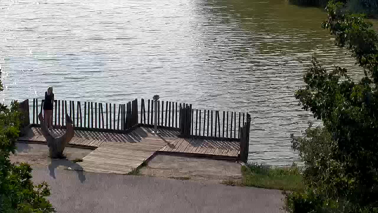 Webcam Ribnik Vrbje – Žalec