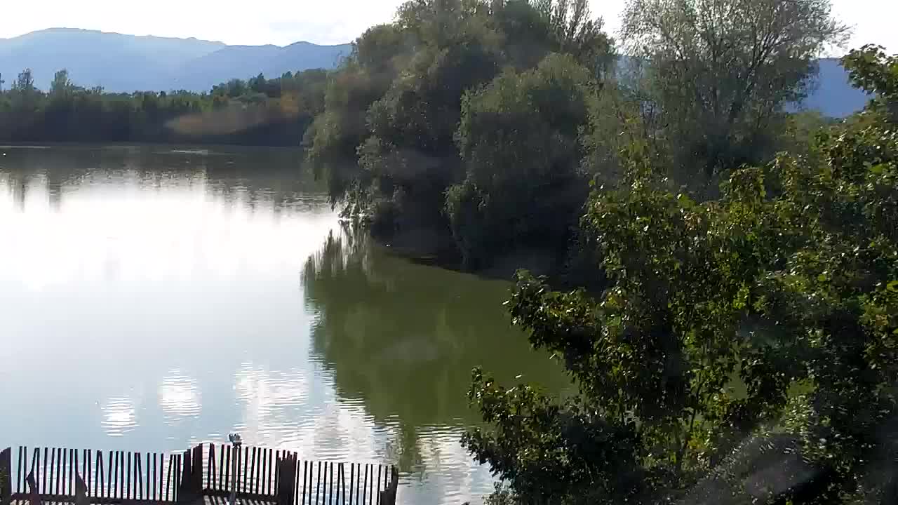 Webcam Ribnik Vrbje – Žalec