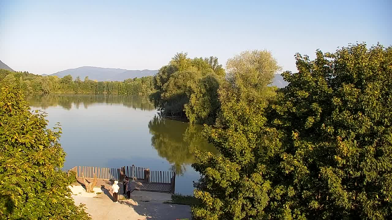 Webcam Ribnik Vrbje – Žalec