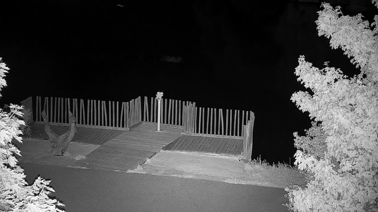 Spletna kamera Ribnik Vrbje – Žalec