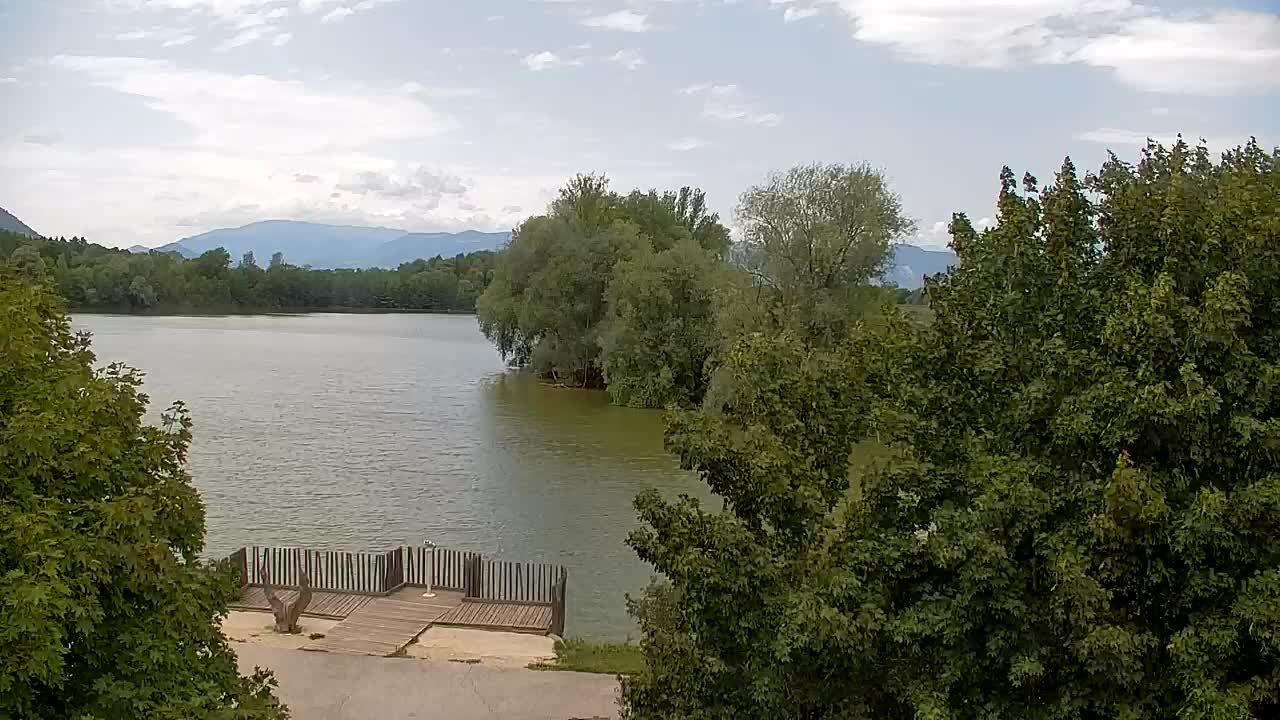 Webcam Ribnik Vrbje – Žalec