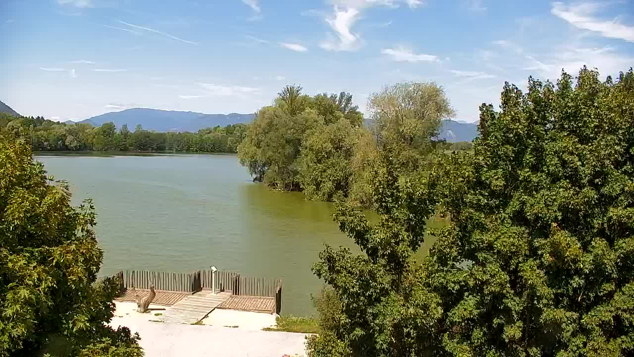 Webcam Ribnik Vrbje – Žalec
