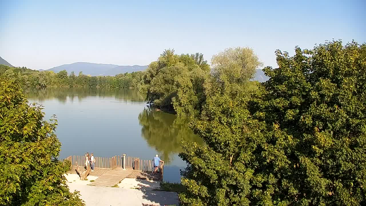 Webcam Ribnik Vrbje – Žalec