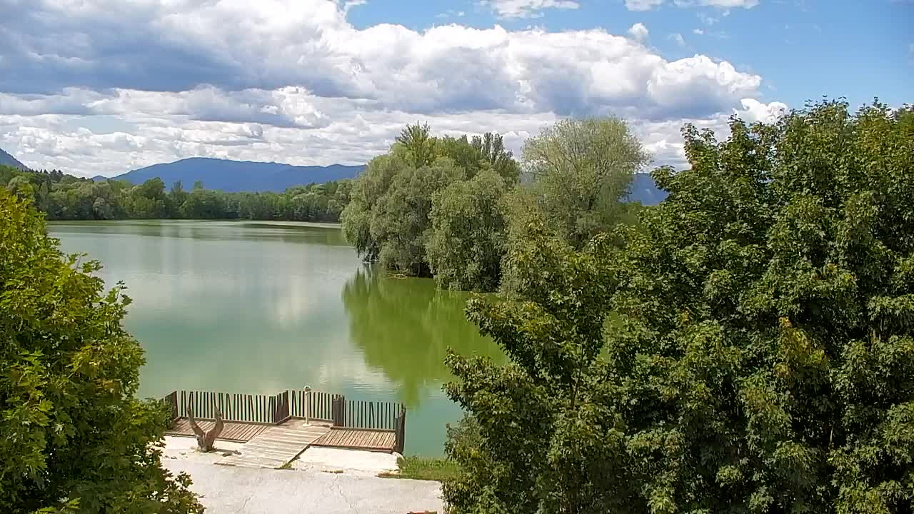 Webcam Ribnik Vrbje – Žalec