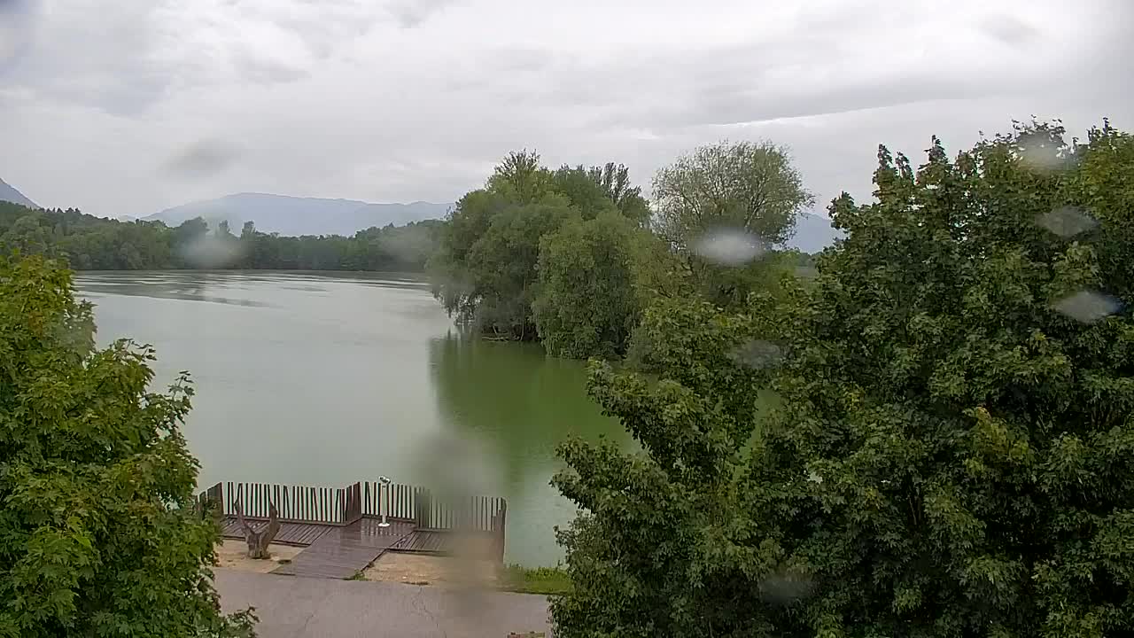 Webcam Ribnik Vrbje – Žalec
