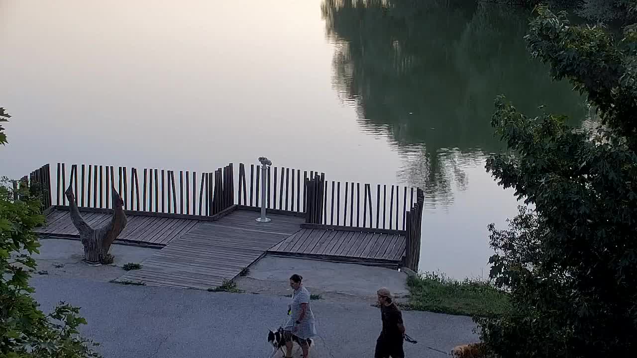 Web kamera Ribnik Vrbje – Žalec