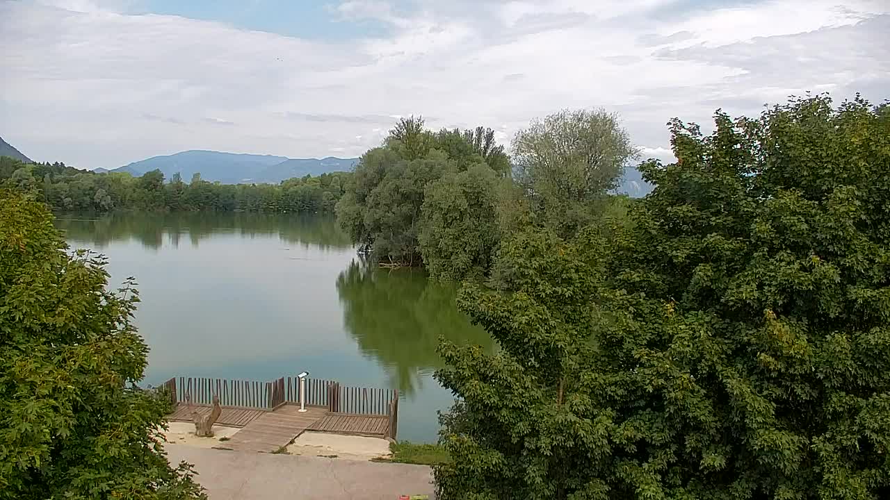 Webcam Ribnik Vrbje – Žalec