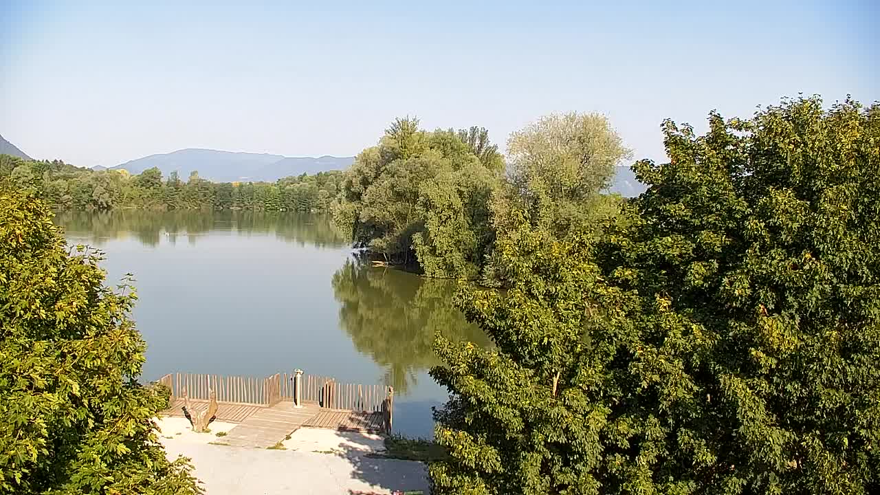 Spletna kamera Ribnik Vrbje – Žalec