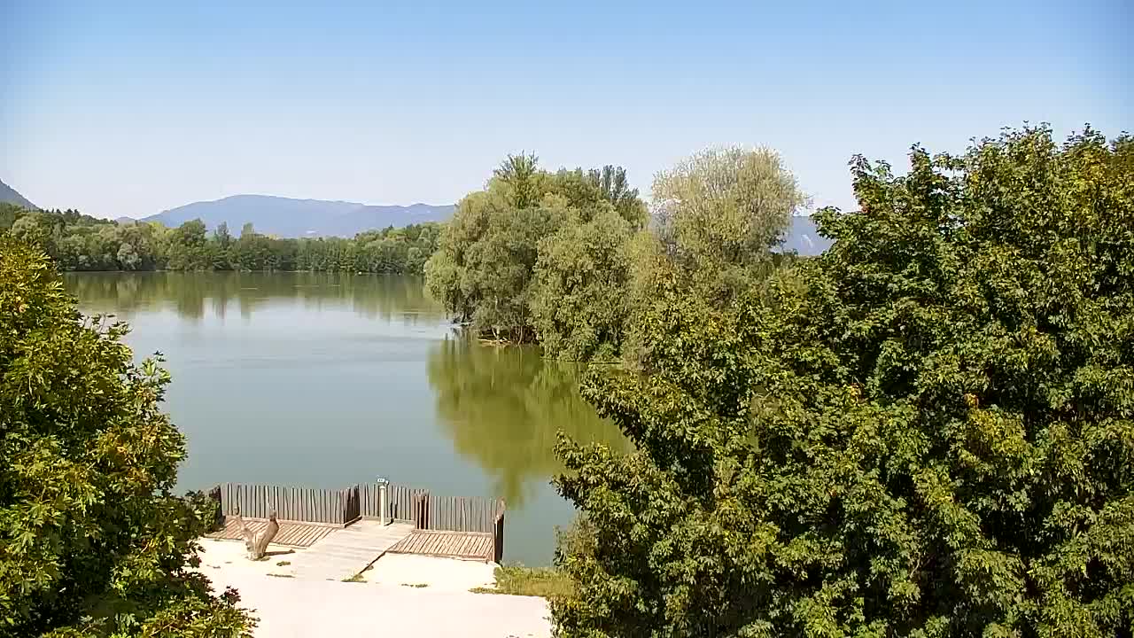 Webcam Ribnik Vrbje – Žalec