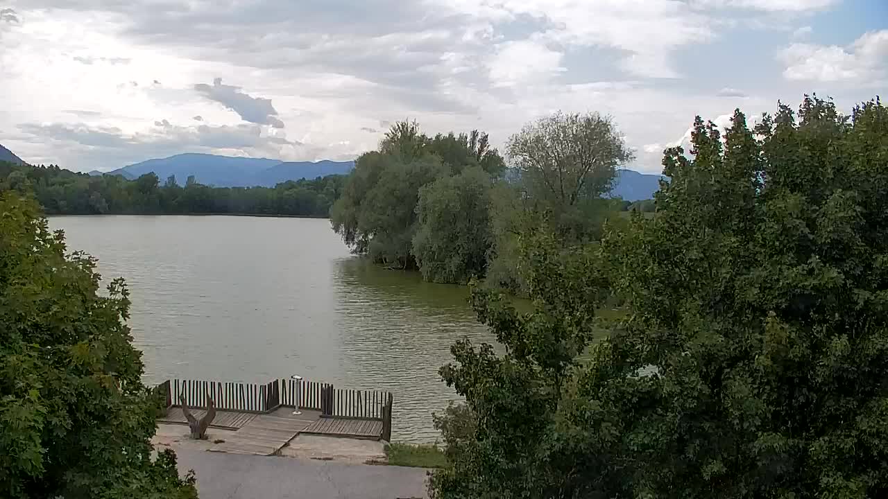 Webcam Ribnik Vrbje – Žalec