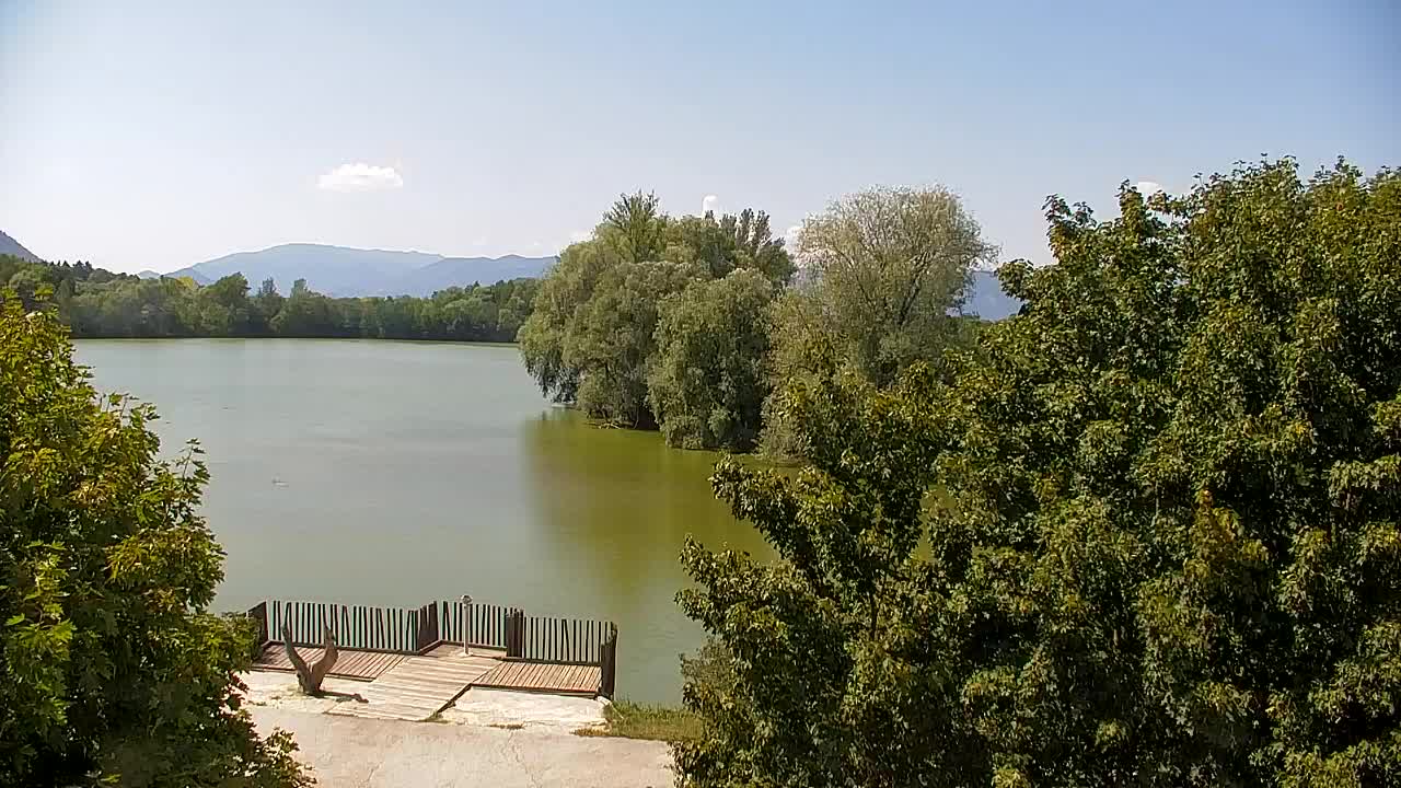 Spletna kamera Ribnik Vrbje – Žalec