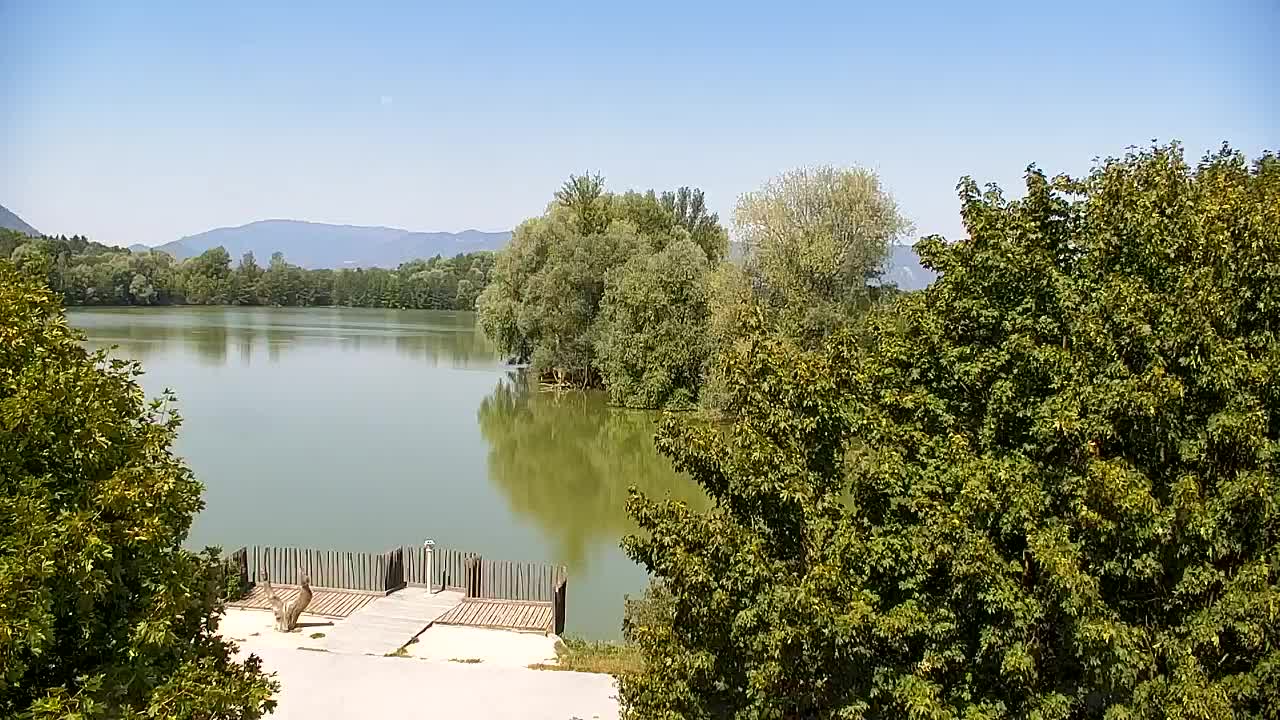 Webcam Ribnik Vrbje – Žalec
