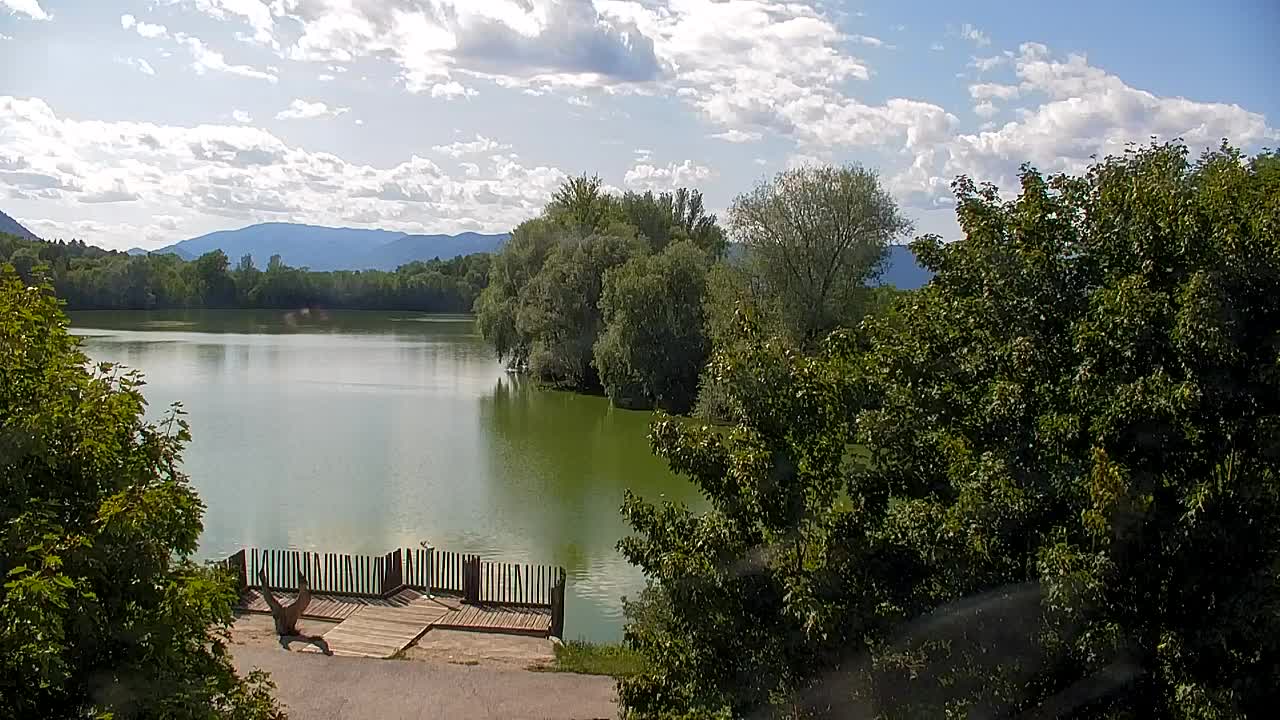 Spletna kamera Ribnik Vrbje – Žalec