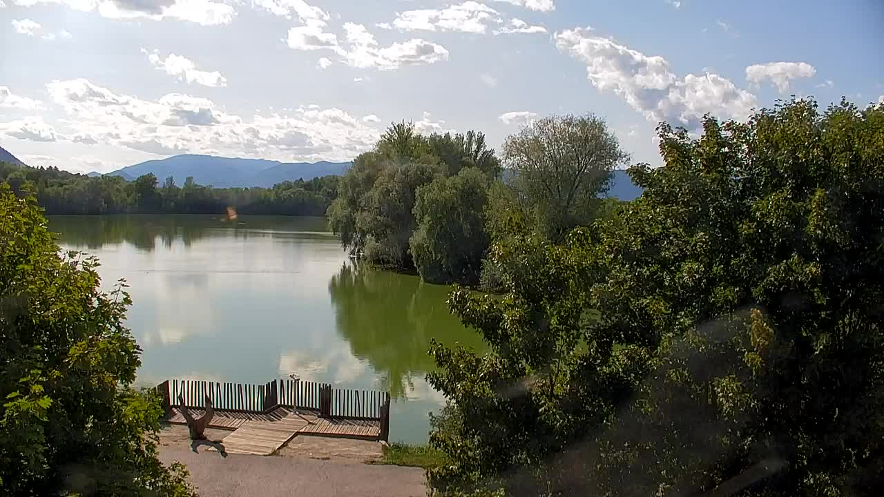 Spletna kamera Ribnik Vrbje – Žalec