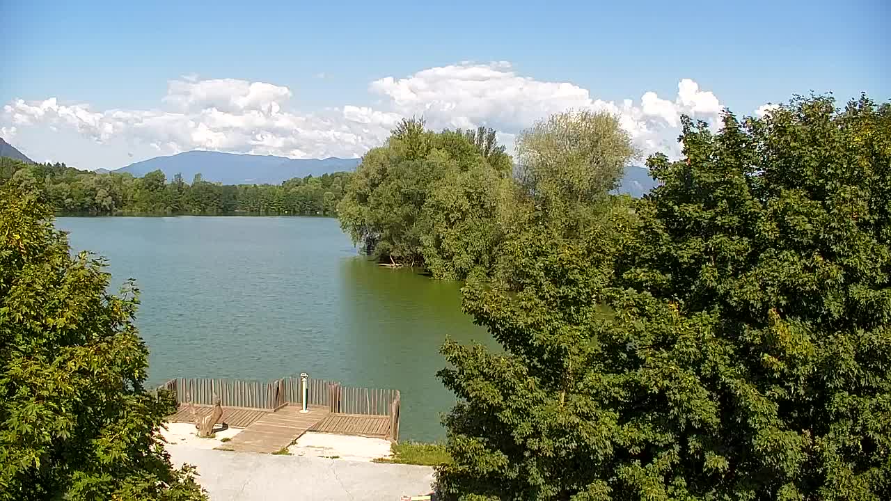 Webcam Ribnik Vrbje – Žalec