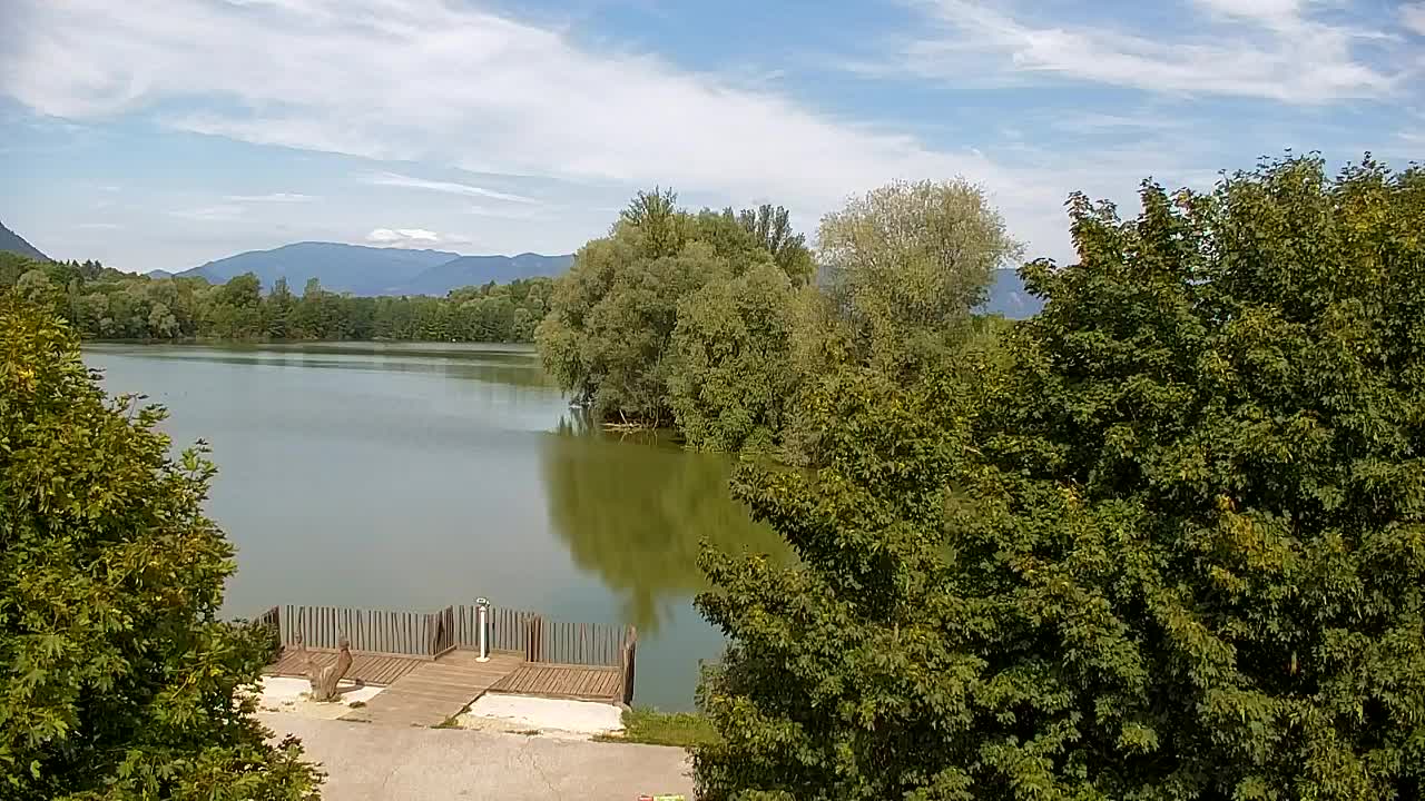 Webcam Ribnik Vrbje – Žalec