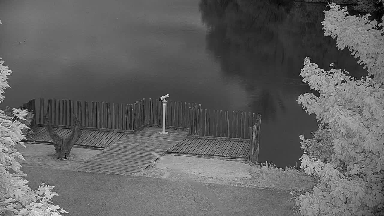 Webcam Ribnik Vrbje – Žalec