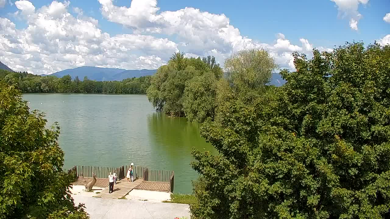Web kamera Ribnik Vrbje – Žalec