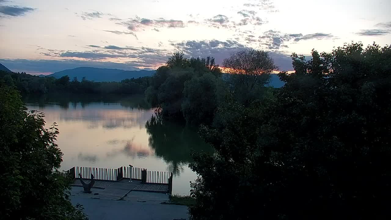 Webcam Ribnik Vrbje – Žalec