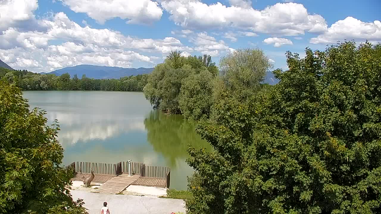 Web kamera Ribnik Vrbje – Žalec