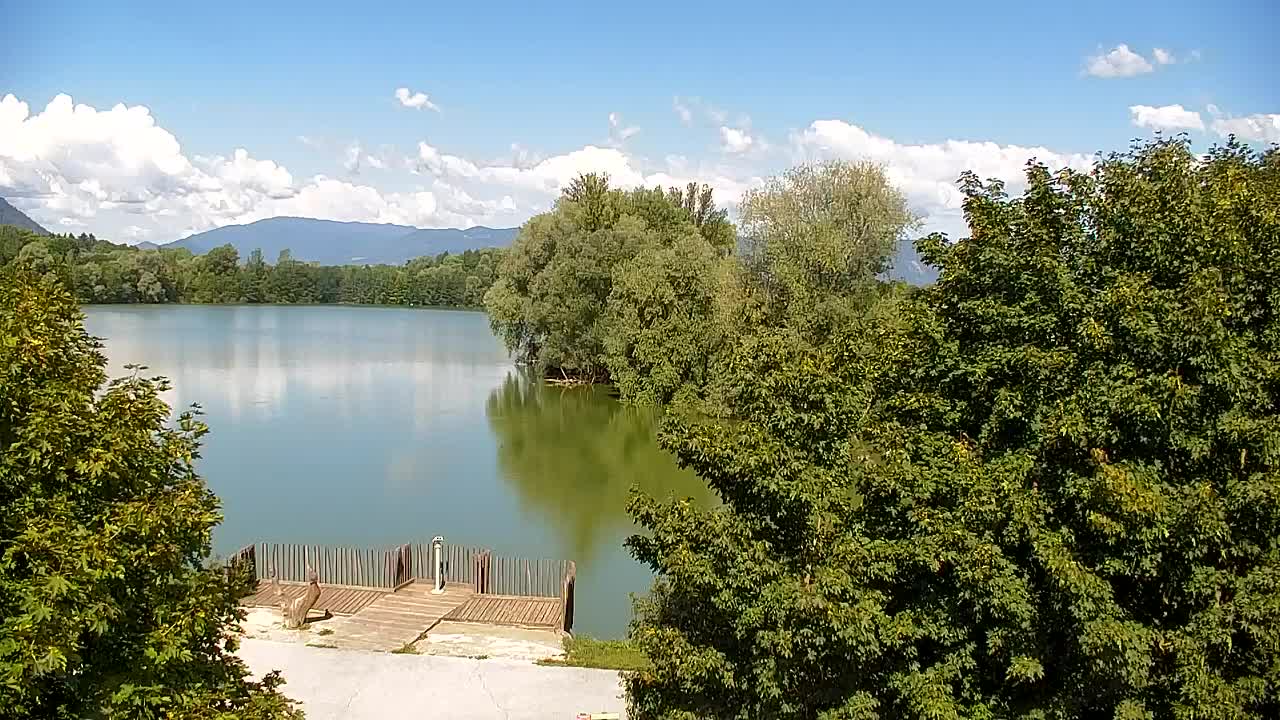 Webcam Ribnik Vrbje – Žalec